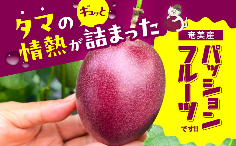 ã2026幎å
è¡äºçŽããæ
ç±ã®ã¿ããå¥çŸç£ããã·ã§ã³ãã«ãŒã 1.5kgïŒ18çååŸïŒãA203-001-01