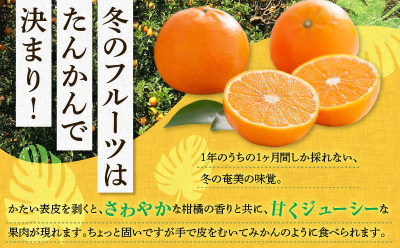 【2025年先行予約】奄美のたんかん家庭用10kg（皮むき器・情報誌付）　A052-023-01