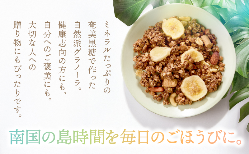 Amami フルーツグラノーラ 約200g 黒糖 保存料無添加　A198-001