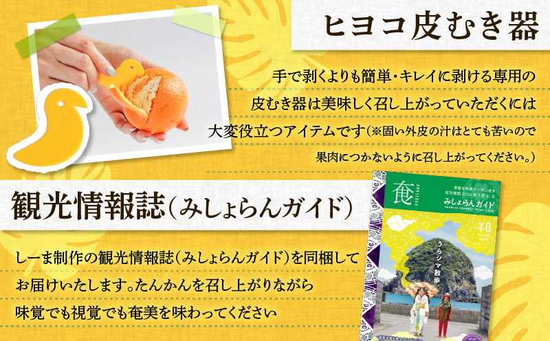 【2026年先行予約】奄美のたんかん家庭用 5kg（皮むき器・観光情報誌付）　A052-022-01