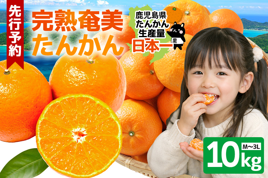 【2027年先行予約】奄美大島産 おいしい 完熟 たんかん 10kg 光センサー 選別 期間 数量 限定 予約 柑橘 みかん 果物 フルーツ 旬 甘い サイズ おまかせ 奄美大島 ピーラー付き フラスコ ふるさと納税 鹿児島 奄美市　A145-003