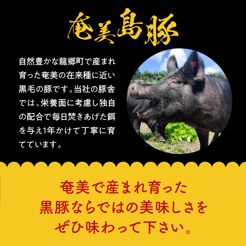 【奄美鶏飯】と【奄美島豚】餃子・ハンバーグのセット - ハンバーグ 2個 餃子 12個 鶏飯 2食分 セット 奄美 島豚 黒豚 簡単 時短調理 焼くだけ お手軽 郷土料理 島料理 鹿児島県 奄美市 冷凍-1001