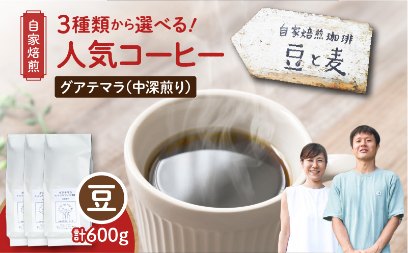 【自家焙煎】豆と麦 グアテマラ（豆） 計600g（200g×3袋）　A017-019-01