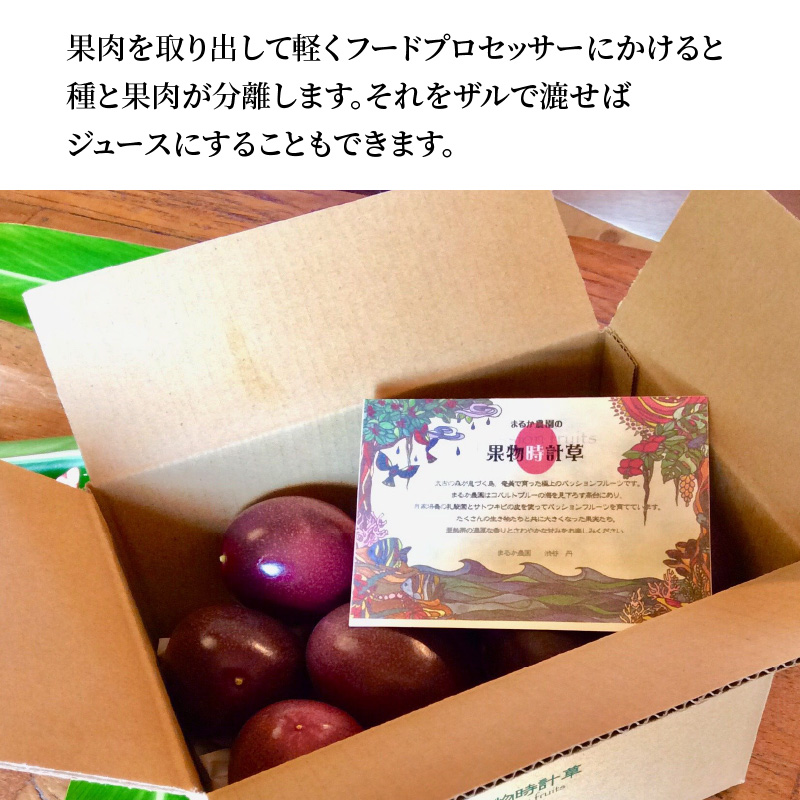 ã2026幎å
è¡äºçŽãå¥çŸã®ããã·ã§ã³ãã«ãŒã 5kgãA041-002