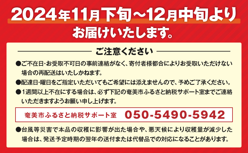 【期間・数量限定！】奄美つのかがやき＜秀品＞化粧箱 5kg （満杯詰め）3L〜Mサイズ【贈答用】　A070-006