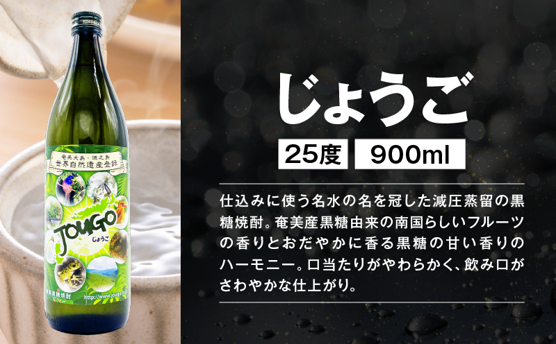 【10月1日価格改定（値上げ）予定】フルーティーな奄美黒糖焼酎味くらべセット　A155-004