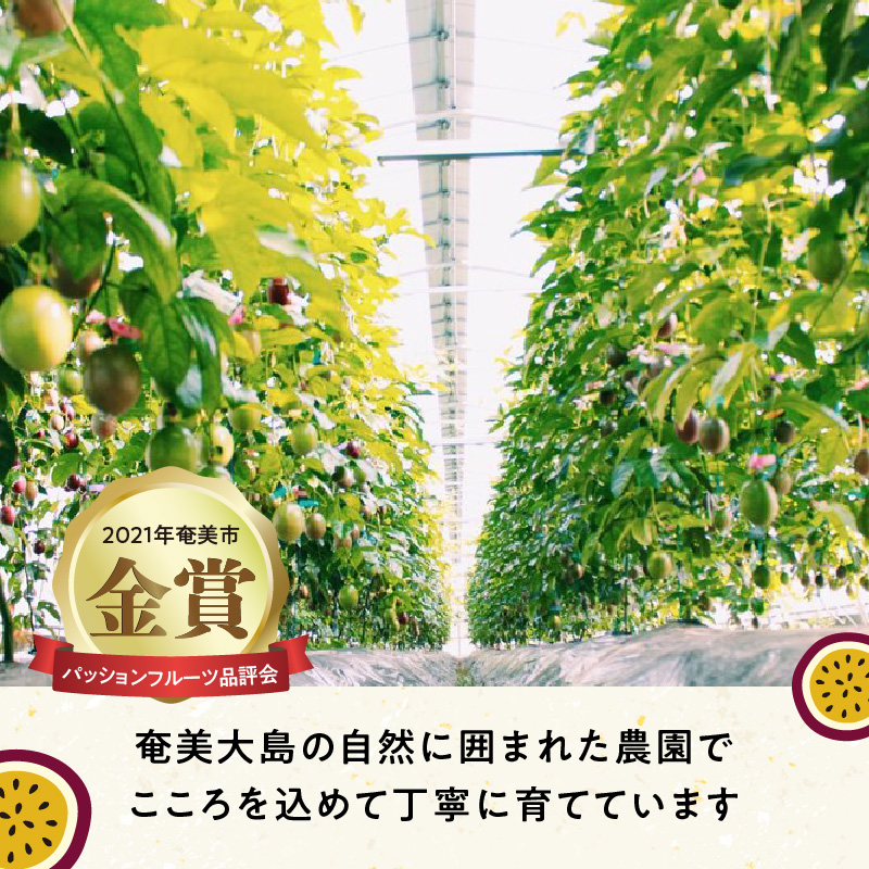 【2026年先行予約】【農家直送】奄美大島産 パッションフルーツ 贈答用 1kg（秀品12個入り）　A092-004