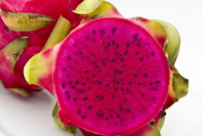 é
æã®ååœãã«ãŒãã»å¥çŸç£ãã©ãŽã³ãã«ãŒãïŒãã¿ã€ïŒçŽ2kg-1001