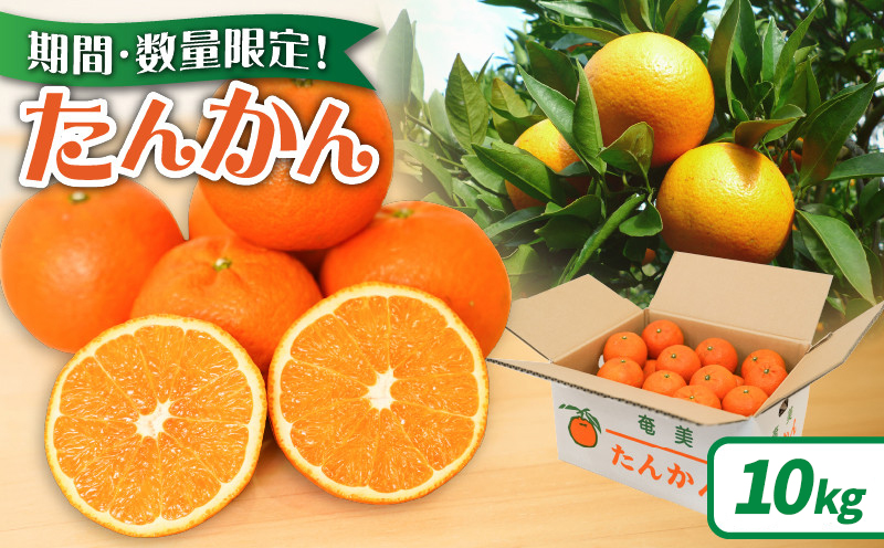 【2027年度先行予約】たんかん10kg　A021-053
