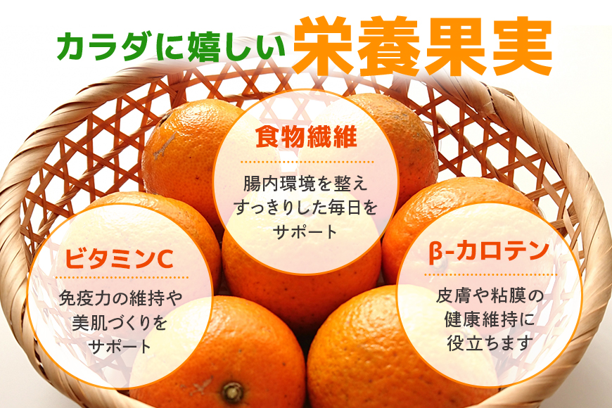 【2027年先行予約】奄美大島産 おいしい 完熟 たんかん 10kg 光センサー 選別 期間 数量 限定 予約 柑橘 みかん 果物 フルーツ 旬 甘い サイズ おまかせ 奄美大島 ピーラー付き フラスコ ふるさと納税 鹿児島 奄美市　A145-003