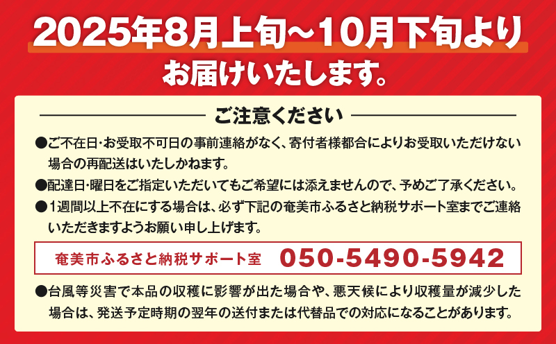 【2025年先行予約】奄美産ドラゴンフルーツ 赤玉 3kg　A145-007