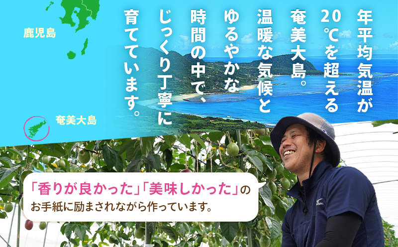 【2026年先行予約】完熟！南の島奄美のパッションフルーツ 2kg箱（20～22個サイズ混合）　A151-001