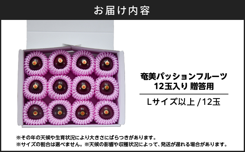 ã2026幎å
è¡äºçŽãå¥çŸããã·ã§ã³ãã«ãŒã èŽççš 12çå
¥ããA135-007