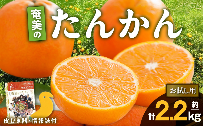 【2025年先行予約】奄美のたんかんお試し用2.2kg（むき器・情報誌付）　A052-025