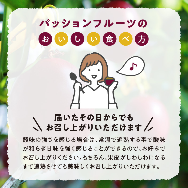 ã2026幎å
è¡äºçŽãå¥çŸå€§å³¶ç£ ããã·ã§ã³ãã«ãŒã 2kgïŒãµã€ãºæ··åïŒãA092-001