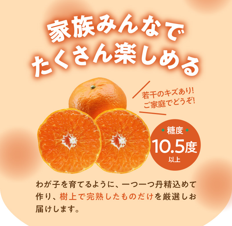 【期間・数量限定！】奄美つのかがやき＜秀品＞化粧箱 5kg （満杯詰め）3L〜Mサイズ【贈答用】　A070-006