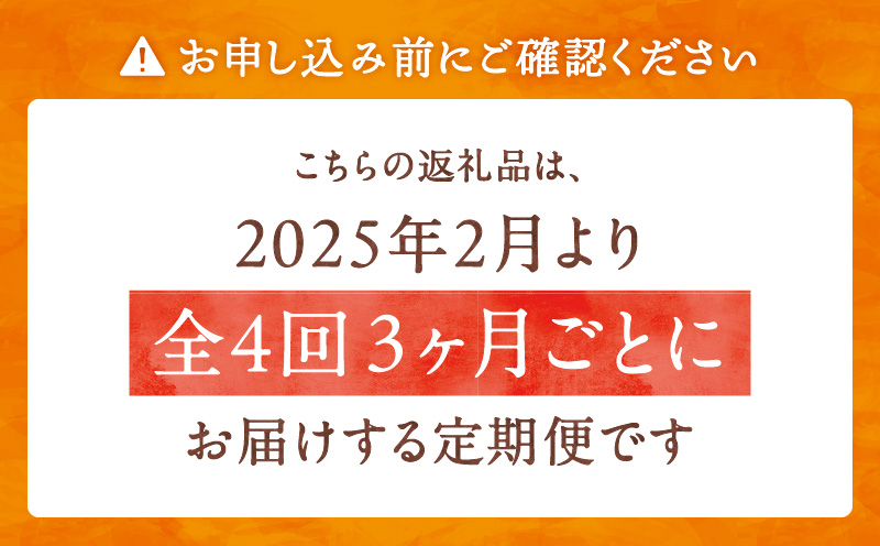 【全4回】奄美のソウルフード定期便　A000-T2403