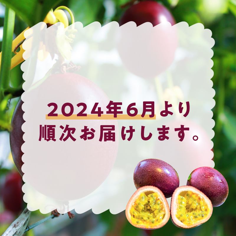 奄美大島産 パッションフルーツ 訳あり お試しサイズ - 食品