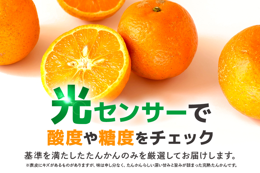 【2027年先行予約】奄美大島産 おいしい 完熟 たんかん 10kg 光センサー 選別 期間 数量 限定 予約 柑橘 みかん 果物 フルーツ 旬 甘い サイズ おまかせ 奄美大島 ピーラー付き フラスコ ふるさと納税 鹿児島 奄美市　A145-003