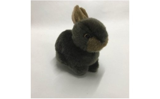 アマミノクロウサギ「ぴょん太マスコット」-1001