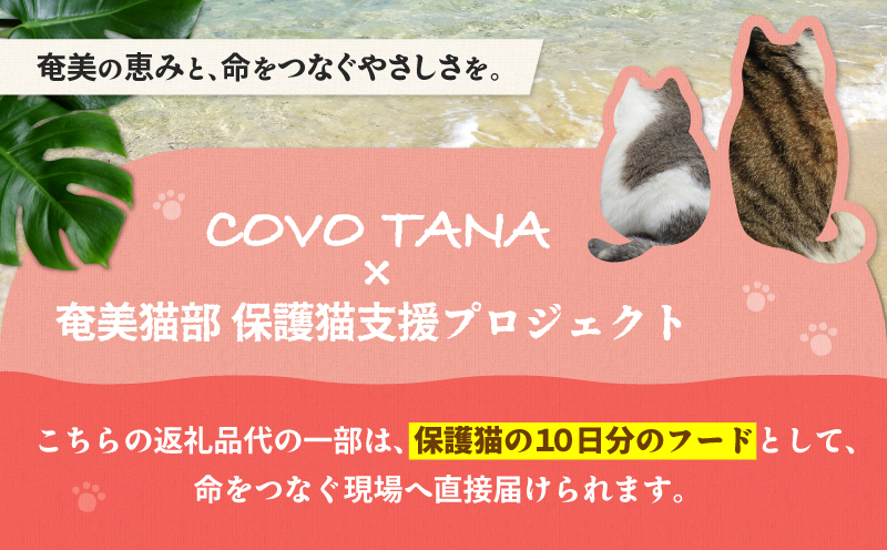 【奄美の保護猫支援（保護猫フード10日分）】＋レディースカットソー　A071-011