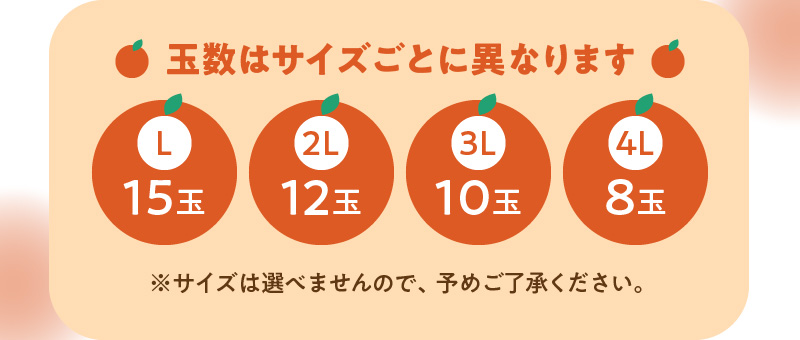 【期間・数量限定！】奄美つのかがやき＜秀品＞化粧箱（8〜15玉入）4L〜Lサイズ【贈答用】　A070-005