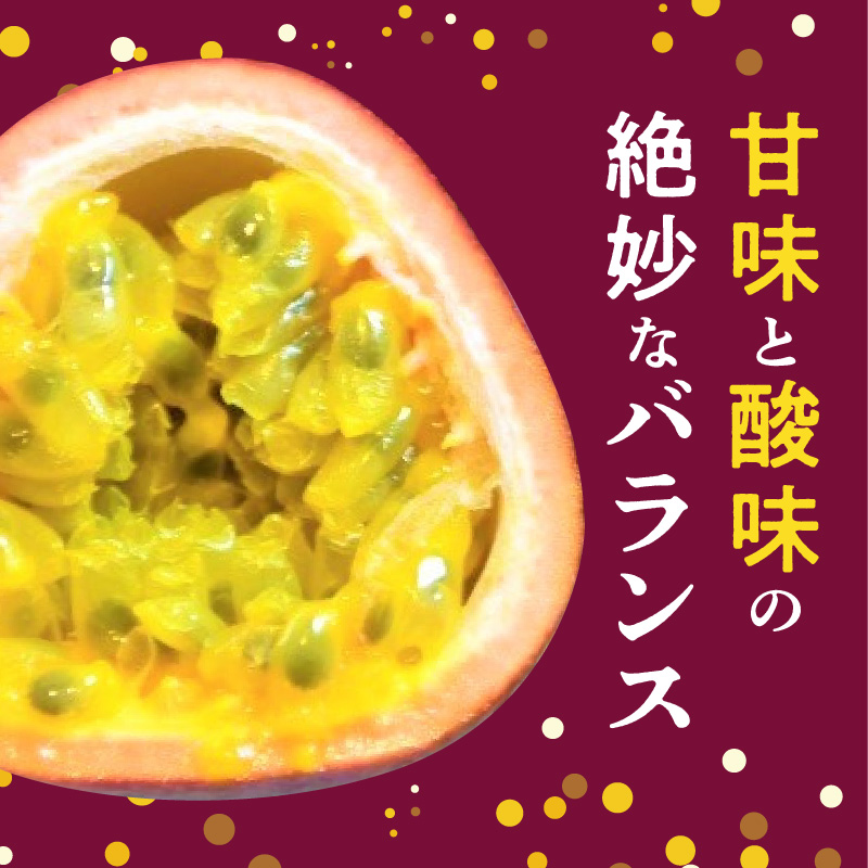 ã2026幎å
è¡äºçŽãå¥çŸå€§å³¶ç£ ããã·ã§ã³ãã«ãŒã 2kgïŒãµã€ãºæ··åïŒãA092-001