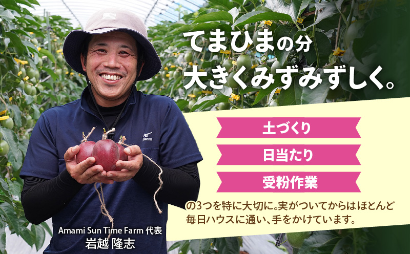 【2026年先行予約】完熟！南の島奄美のパッションフルーツ 2kg箱（20～22個サイズ混合）　A151-001