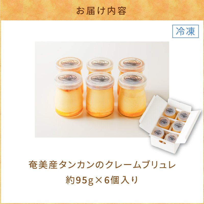 奄美産タンカンのクレームブリュレ（6個入り） - たんかん 柑橘 クリームブリュレ 洋菓子 6個-1001