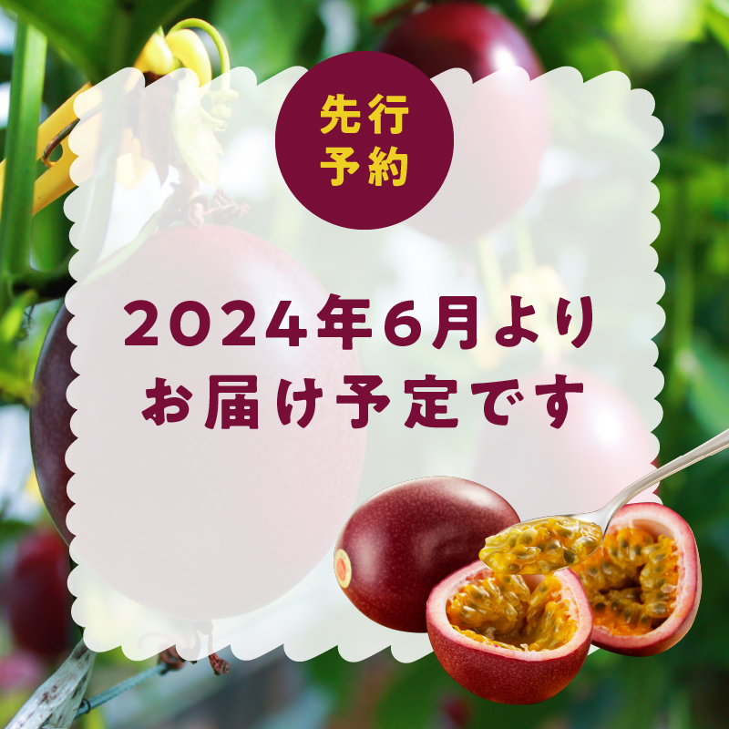 【2025年先行予約】奄美大島産 パッションフルーツ 2kg（サイズ混合）　A092-001