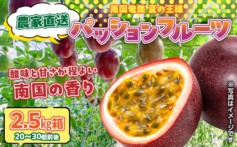 蟲家çŽéããã·ã§ã³ãã«ãŒã 2.5kgç®± å®¶åºçšïŒãµã€ãºæ··åïŒãA201-001