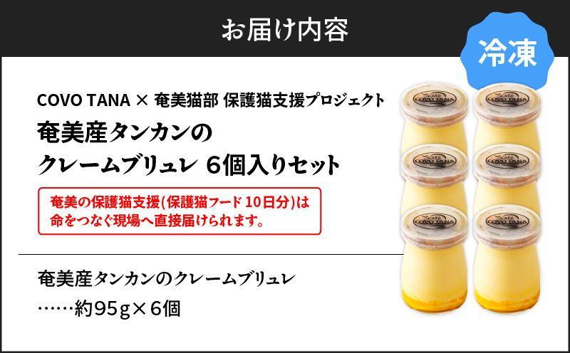 ãå¥çŸã®ä¿è·ç«æ¯æŽïŒä¿è·ç«ããŒã10æ¥åïŒãïŒå¥çŸç£ã¿ã³ã«ã³ã®ã¯ã¬ãŒã ããªã¥ã¬ïŒ6åå
¥ãïŒãA071-002-02