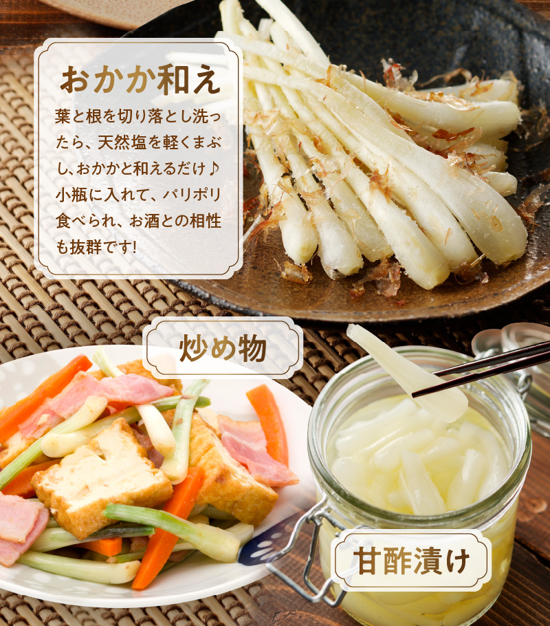 【2026年先行予約】奄美の島らっきょう 1kg　A139-002