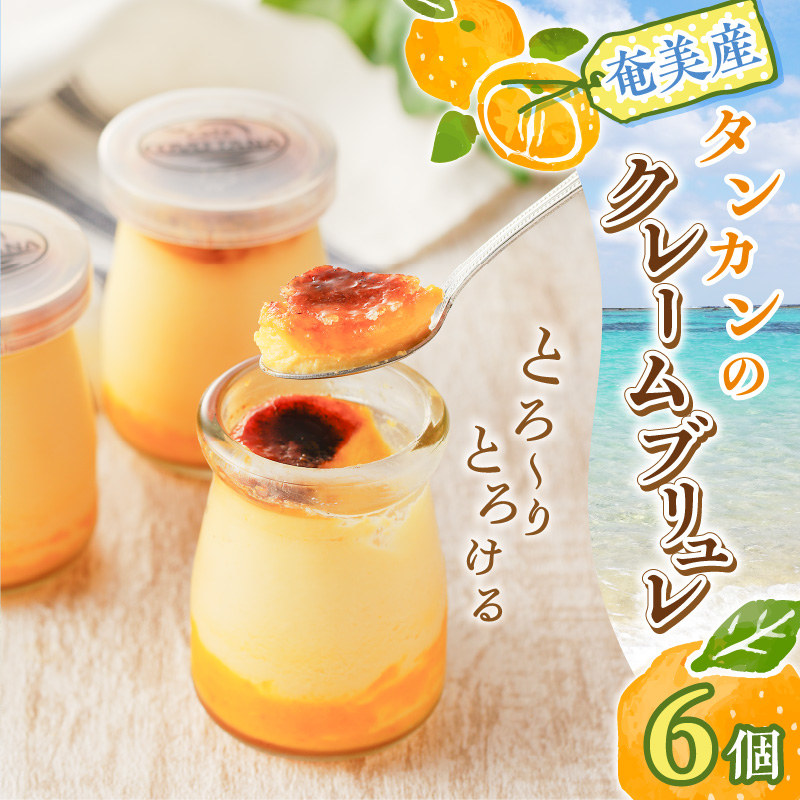 奄美産タンカンのクレームブリュレ（6個入り） - たんかん 柑橘 クリームブリュレ 洋菓子 6個-1001