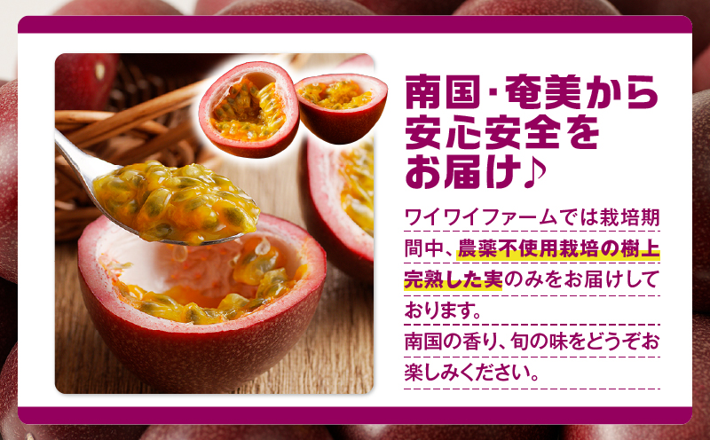 【2026年先行予約】完熟パッションフルーツ2kg　A067-002