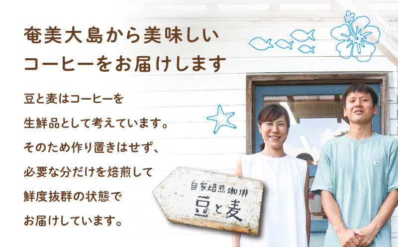 水出しコーヒー用パック　A017-015