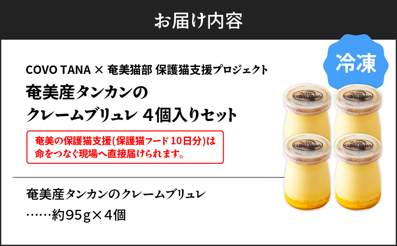 ãå¥çŸã®ä¿è·ç«æ¯æŽïŒä¿è·ç«ããŒã10æ¥åïŒãïŒå¥çŸç£ã¿ã³ã«ã³ã®ã¯ã¬ãŒã ããªã¥ã¬ïŒ4åå
¥ãïŒãA071-002-01