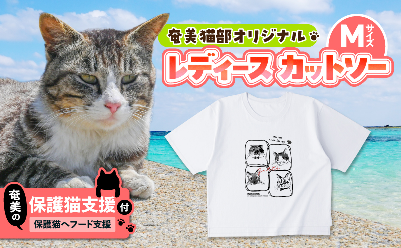 【奄美の保護猫支援（保護猫フード10日分）】＋レディースカットソー　A071-011