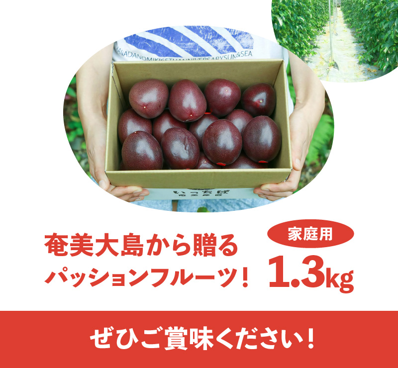 【2024年6月〜出荷】ルビー色のトロピカルフルーツ、パッションフルーツ【家庭用】1.3kg