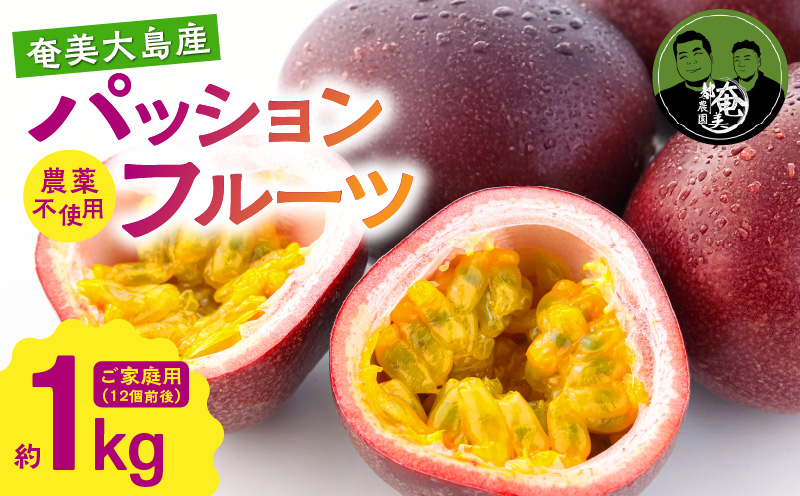 【2026年先行予約】パッションフルーツ 家庭用 約1kg　A194-001-01