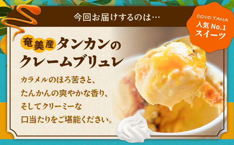 ãå¥çŸã®ä¿è·ç«æ¯æŽïŒä¿è·ç«ããŒã10æ¥åïŒãïŒå¥çŸç£ã¿ã³ã«ã³ã®ã¯ã¬ãŒã ããªã¥ã¬ïŒ6åå
¥ãïŒãA071-002-02