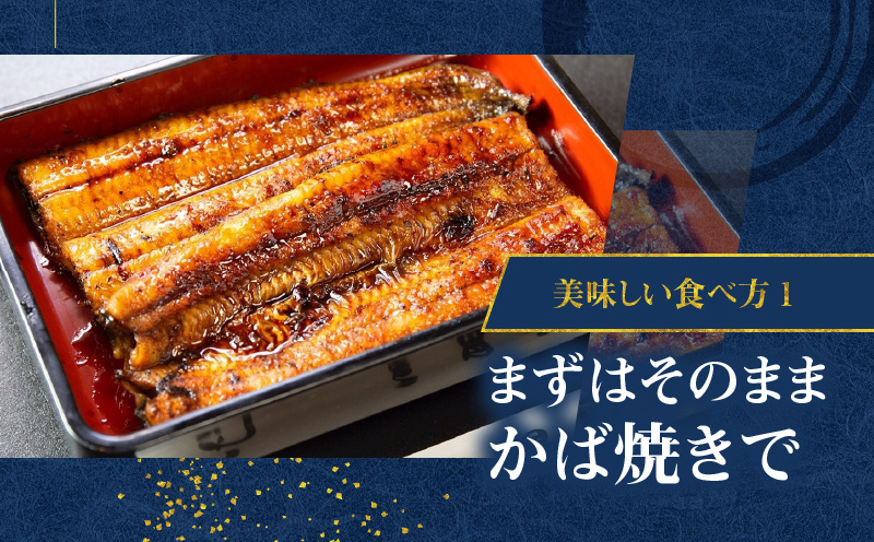 鹿児島県産！老舗うなぎ屋の紅白うなぎ！うなぎのかば焼き1尾（上・150g以上）×1パック・白焼き1尾（上・150g以上）×1パック【贈答用】　A040-012-01