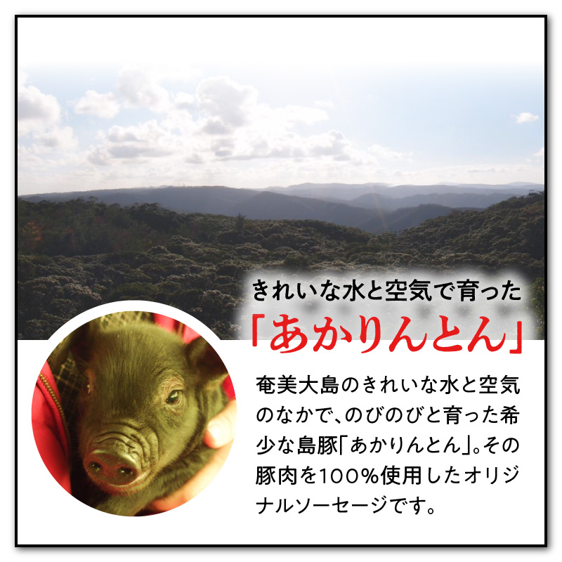 奄美島豚 あかりんとん ソーセージ 5種セット　A008-002