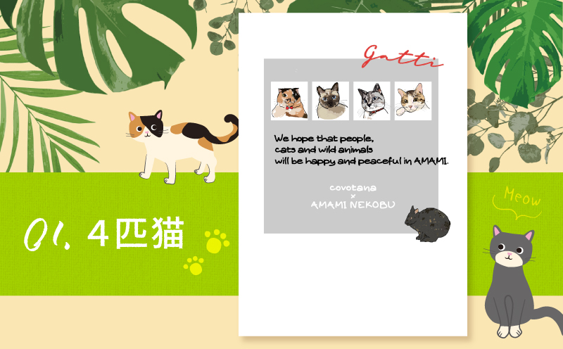 【奄美の保護猫支援（ワクチン代）】＋ポストカード3枚セット　A071-007