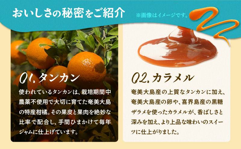 ãå¥çŸã®ä¿è·ç«æ¯æŽïŒä¿è·ç«ããŒã10æ¥åïŒãïŒå¥çŸç£ã¿ã³ã«ã³ã®ã¯ã¬ãŒã ããªã¥ã¬ïŒ4åå
¥ãïŒãA071-002-01