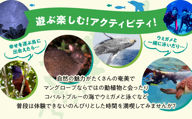 鹿児島県奄美市の対象ツアーに使えるHISふるさと納税クーポン 寄附額40,000円