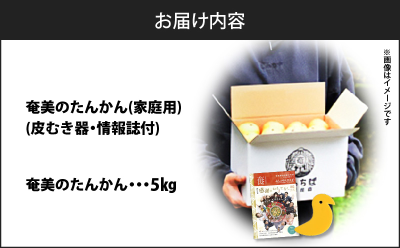 【2025年先行予約】奄美のたんかん家庭用5kg（皮むき器・情報誌付）　A052-022-01