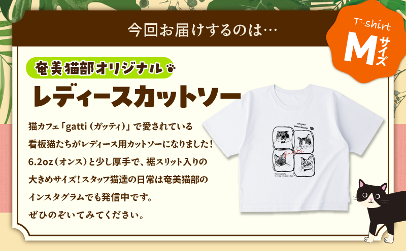 【奄美の保護猫支援（保護猫フード10日分）】＋レディースカットソー　A071-011