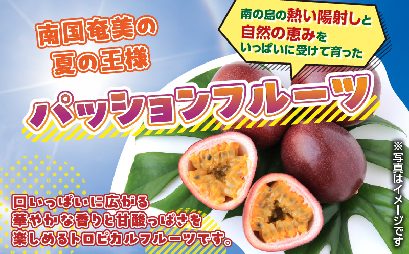 蟲家çŽéããã·ã§ã³ãã«ãŒã 2.5kgç®± å®¶åºçšïŒãµã€ãºæ··åïŒãA201-001