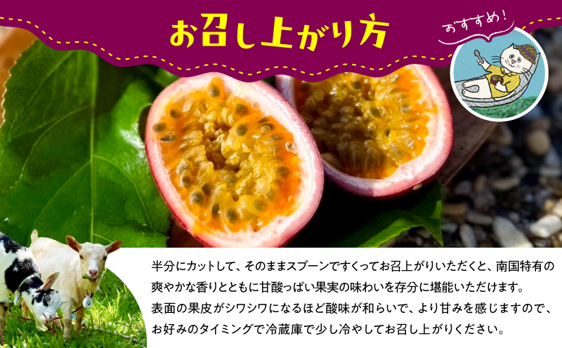 ã2026幎å
è¡äºçŽããæ
ç±ã®ã¿ããå¥çŸç£ããã·ã§ã³ãã«ãŒã 1.5kgïŒ18çååŸïŒãA203-001-01